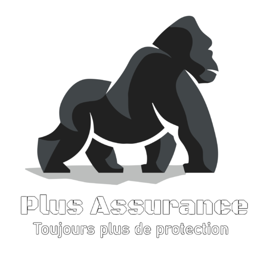 + Assurances Logo